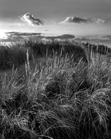 Grass and clouds, East Head.