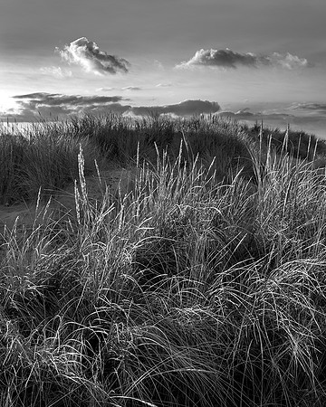 Grass and clouds, East Head.