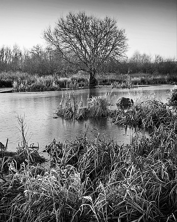Winters grip, Waltham Brooks.