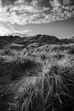 Repetition in grass and cloud, East Head.