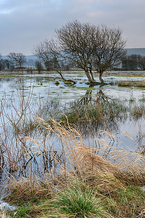 Winter floods, Amberley Brooks.