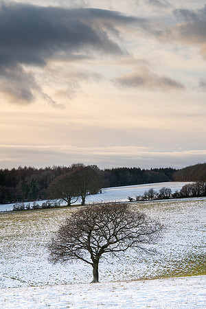 A calm winters afternoon on Bignor Hill.