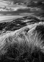 Harlech Dunes, mono study.