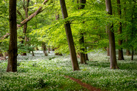 Verdant.