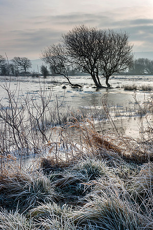 Winters morning on Amberley Wildbrooks.