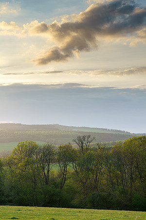 Over the back of Levin Down.