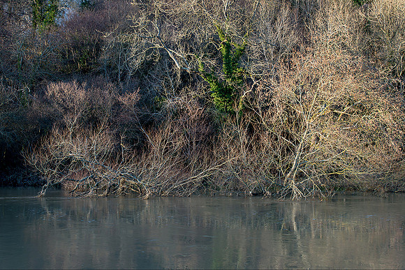 Winter light on the Arun.