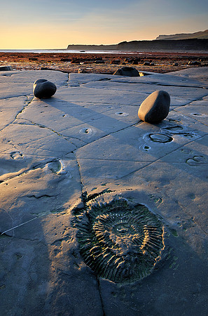 Jurassic rocks, Kimmeridge Bay, Dorset.