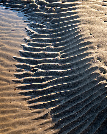 Skeleton, Borth-y-Gest.