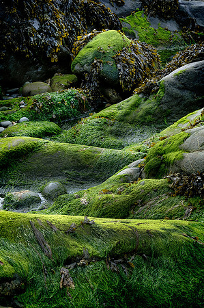 Recession, Trefin, Pembrokeshire.