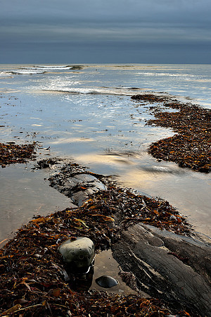 Mercury waters Kimmerdge Bay, Dorset.