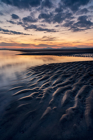 Claws, Harelch Beach.