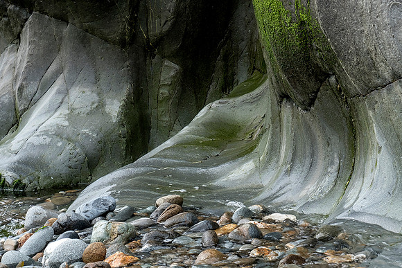 Rock platform, Trefin, Pembrokeshire.