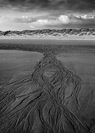 Sea Art IV.