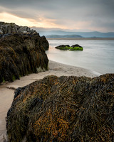 Tones of Gold, Borth-y-gest.