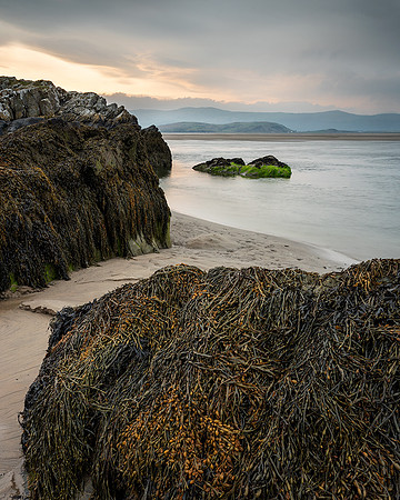 Tones of Gold, Borth-y-gest.