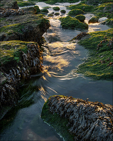 Water tumbling through the rock pools at Osmington Mills..