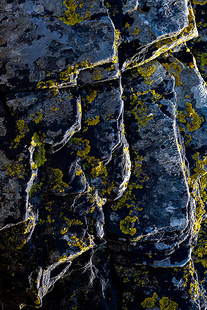 Layers and Lichens, Borth-y-Gest.