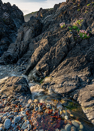 Running into the sea, Trefin, Pembrokeshire.