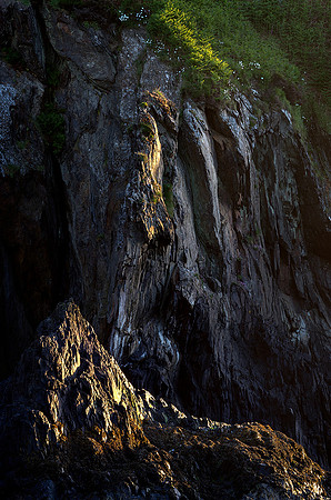 Last light on the cliff, Trefin, Pembrokeshire.