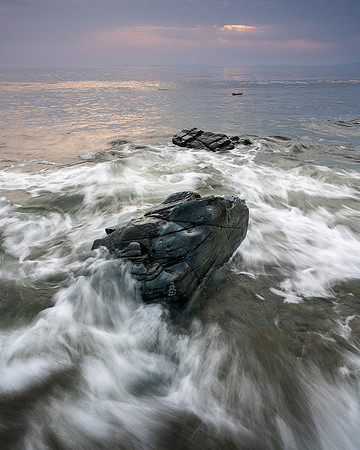 Rush, Llandangw Beach.