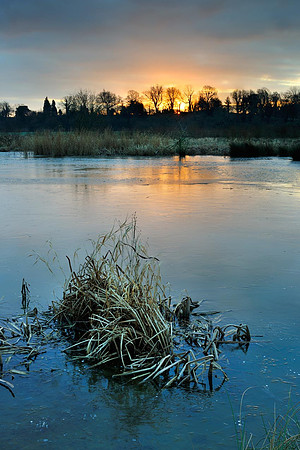 Waltham Brooks.