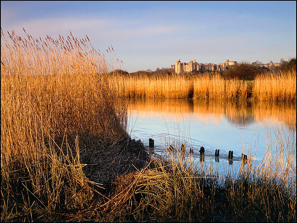 Warningcamp, Arundel.