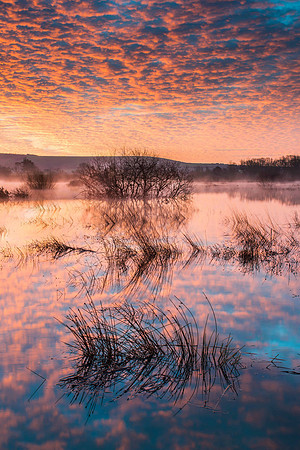 Mackerel sky and flood waters, Waltham Brooks.