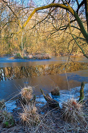 Iping Common.