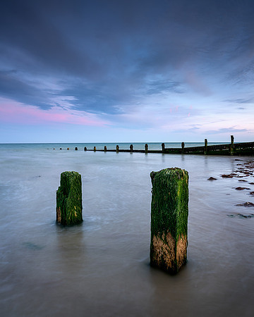 Seaweed green posts.