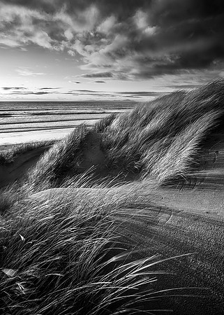 Harlech dunes mono study.