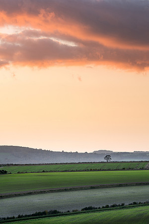 View across to the Arun Valley from Wepham Down.