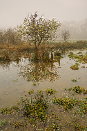 Fittleworth floods.