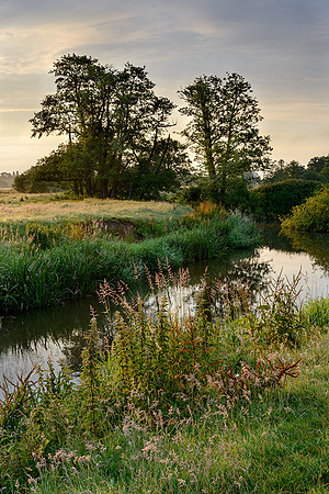 Summer dawn , the Rother, Fittleworth.