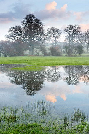 Misty dawn, Burpham.